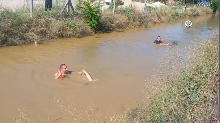 Sulama kanalında bir battı bir çıktı. Boğulma ihbarına giden ekipler şaşkına döndü 12